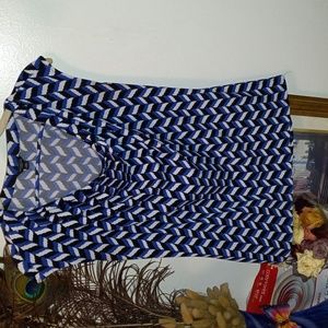 Ann Taylor Gorgeous  blouse